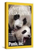 Cover of the July, 2006 National Geographic Magazine-Michael Nichols-Stretched Canvas