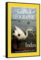 Cover of the June, 2000 National Geographic Magazine-Randy Olson-Framed Stretched Canvas