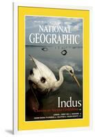 Cover of the June, 2000 National Geographic Magazine-Randy Olson-Framed Photographic Print