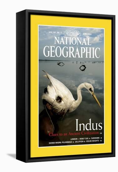 Cover of the June, 2000 National Geographic Magazine-Randy Olson-Framed Stretched Canvas