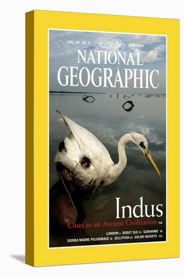 Cover of the June, 2000 National Geographic Magazine-Randy Olson-Stretched Canvas