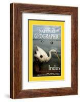 Cover of the June, 2000 National Geographic Magazine-Randy Olson-Framed Photographic Print