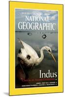 Cover of the June, 2000 National Geographic Magazine-Randy Olson-Mounted Premium Photographic Print