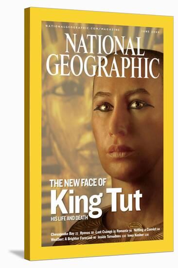 Cover of the June, 2005 National Geographic Magazine-Kenneth Garrett-Stretched Canvas