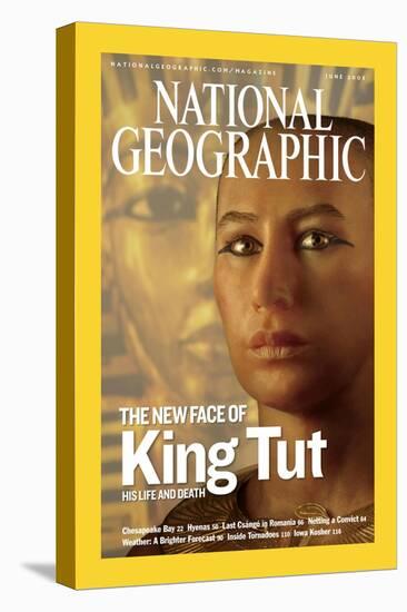 Cover of the June, 2005 National Geographic Magazine-Kenneth Garrett-Stretched Canvas