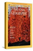 Cover of the March, 1975 National Geographic Magazine-Robert Madden-Stretched Canvas