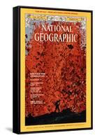 Cover of the March, 1975 National Geographic Magazine-Robert Madden-Framed Stretched Canvas