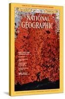 Cover of the March, 1975 National Geographic Magazine-Robert Madden-Stretched Canvas