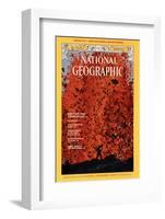 Cover of the March, 1975 National Geographic Magazine-Robert Madden-Framed Photographic Print