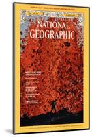 Cover of the March, 1975 National Geographic Magazine-Robert Madden-Mounted Photographic Print