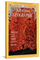 Cover of the March, 1975 National Geographic Magazine-Robert Madden-Stretched Canvas