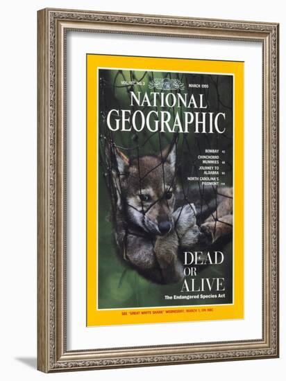 Cover of the March, 1995 National Geographic Magazine-Joel Sartore-Framed Photographic Print