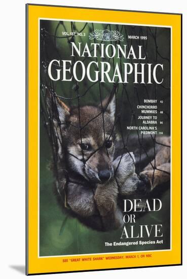 Cover of the March, 1995 National Geographic Magazine-Joel Sartore-Mounted Photographic Print