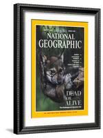 Cover of the March, 1995 National Geographic Magazine-Joel Sartore-Framed Photographic Print