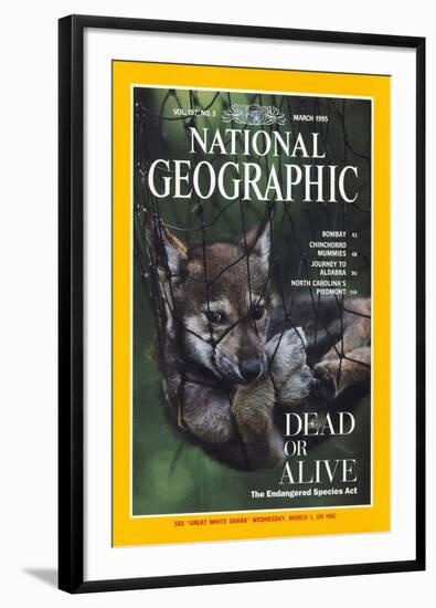 Cover of the March, 1995 National Geographic Magazine-Joel Sartore-Framed Photographic Print