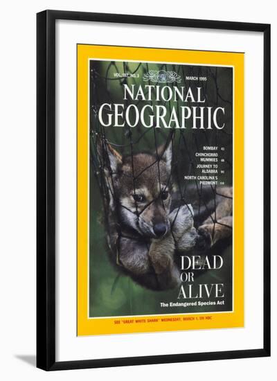 Cover of the March, 1995 National Geographic Magazine-Joel Sartore-Framed Photographic Print