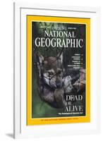 Cover of the March, 1995 National Geographic Magazine-Joel Sartore-Framed Photographic Print