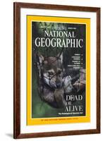 Cover of the March, 1995 National Geographic Magazine-Joel Sartore-Framed Photographic Print