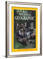 Cover of the March, 1995 National Geographic Magazine-Joel Sartore-Framed Photographic Print