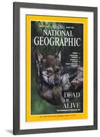 Cover of the March, 1995 National Geographic Magazine-Joel Sartore-Framed Photographic Print