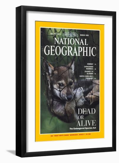 Cover of the March, 1995 National Geographic Magazine-Joel Sartore-Framed Premium Photographic Print