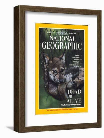 Cover of the March, 1995 National Geographic Magazine-Joel Sartore-Framed Photographic Print