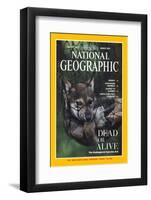 Cover of the March, 1995 National Geographic Magazine-Joel Sartore-Framed Photographic Print