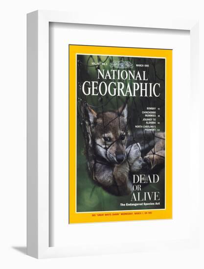 Cover of the March, 1995 National Geographic Magazine-Joel Sartore-Framed Photographic Print