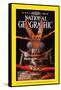 Cover of the March, 1998 National Geographic Magazine-Mark W. Moffett-Framed Stretched Canvas