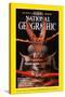Cover of the March, 1998 National Geographic Magazine-Mark W. Moffett-Stretched Canvas