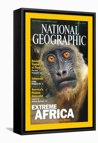 Cover of the March, 2001 National Geographic Magazine-Michael Nichols-Framed Stretched Canvas