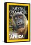 Cover of the March, 2001 National Geographic Magazine-Michael Nichols-Framed Stretched Canvas