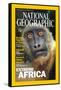 Cover of the March, 2001 National Geographic Magazine-Michael Nichols-Framed Stretched Canvas