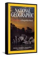 Cover of the March, 2007 National Geographic Magazine-Michael Nichols-Framed Stretched Canvas