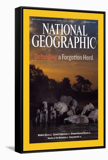 Cover of the March, 2007 National Geographic Magazine-Michael Nichols-Framed Stretched Canvas