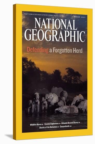 Cover of the March, 2007 National Geographic Magazine-Michael Nichols-Stretched Canvas