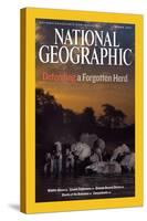 Cover of the March, 2007 National Geographic Magazine-Michael Nichols-Stretched Canvas