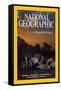 Cover of the March, 2007 National Geographic Magazine-Michael Nichols-Framed Stretched Canvas