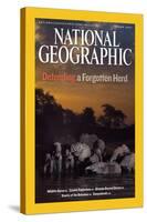 Cover of the March, 2007 National Geographic Magazine-Michael Nichols-Stretched Canvas
