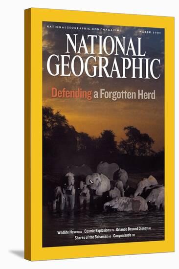 Cover of the March, 2007 National Geographic Magazine-Michael Nichols-Stretched Canvas