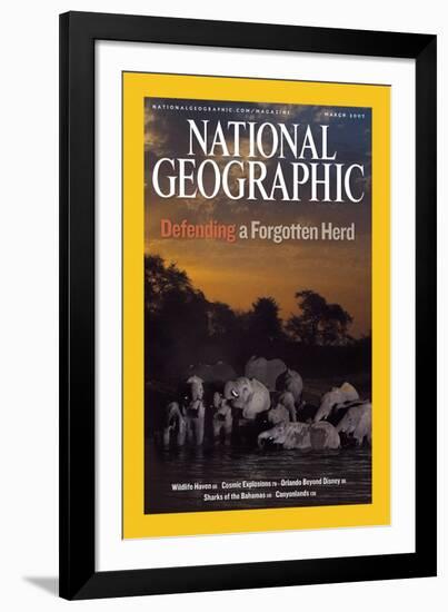 Cover of the March, 2007 National Geographic Magazine-Michael Nichols-Framed Photographic Print