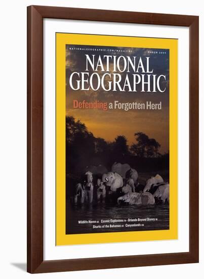 Cover of the March, 2007 National Geographic Magazine-Michael Nichols-Framed Photographic Print