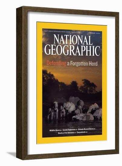 Cover of the March, 2007 National Geographic Magazine-Michael Nichols-Framed Photographic Print