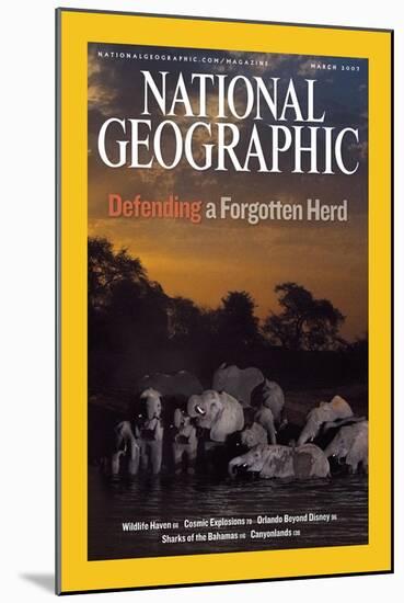 Cover of the March, 2007 National Geographic Magazine-Michael Nichols-Mounted Photographic Print