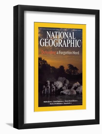 Cover of the March, 2007 National Geographic Magazine-Michael Nichols-Framed Photographic Print