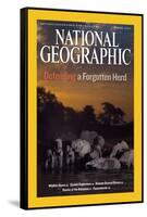 Cover of the March, 2007 National Geographic Magazine-Michael Nichols-Framed Stretched Canvas