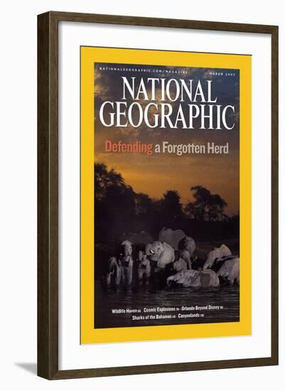 Cover of the March, 2007 National Geographic Magazine-Michael Nichols-Framed Photographic Print