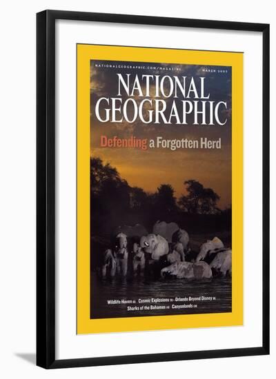 Cover of the March, 2007 National Geographic Magazine-Michael Nichols-Framed Photographic Print