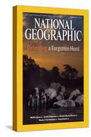 Cover of the March, 2007 National Geographic Magazine-Michael Nichols-Stretched Canvas