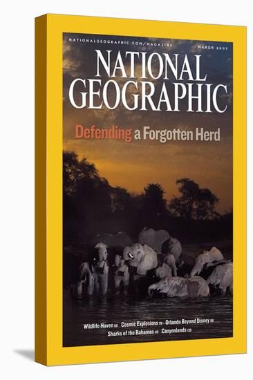 Cover of the March, 2007 National Geographic Magazine-Michael Nichols-Stretched Canvas